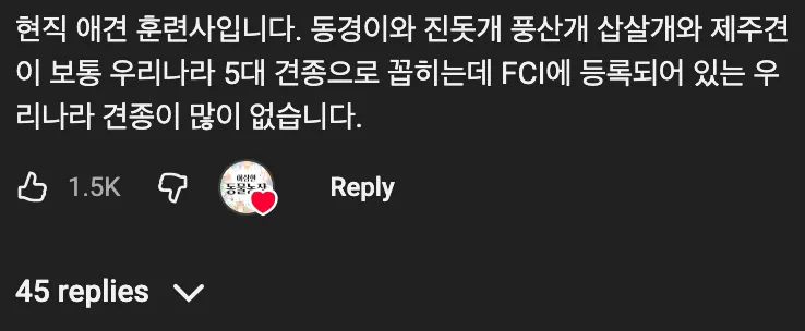 🇰🇷 한국인도 모르는 진짜 토종견 ‘동경이’ 🐶