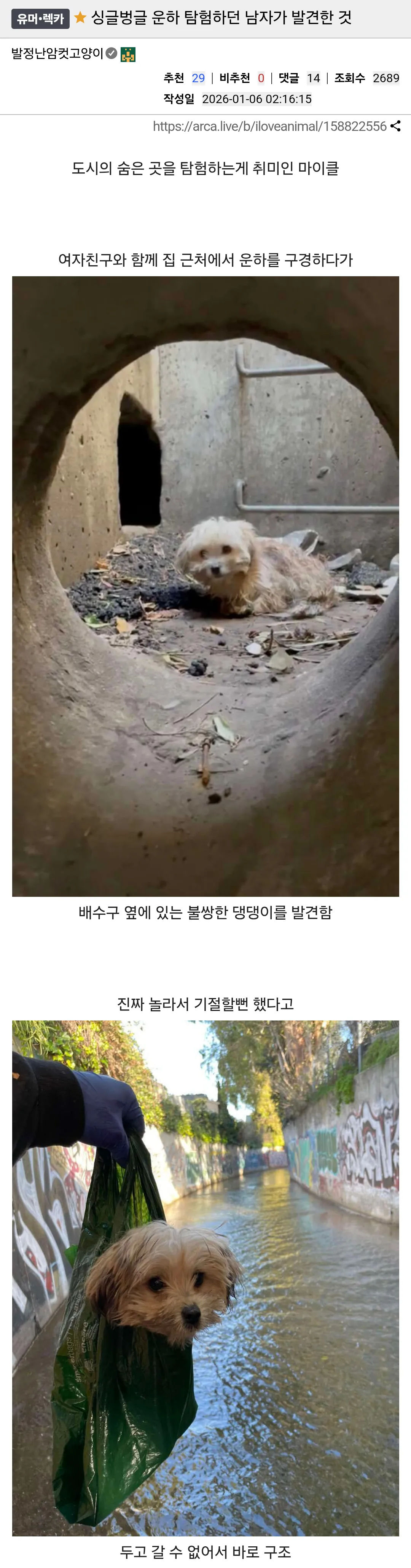 운하 탐험하던 남자가 발견한 것