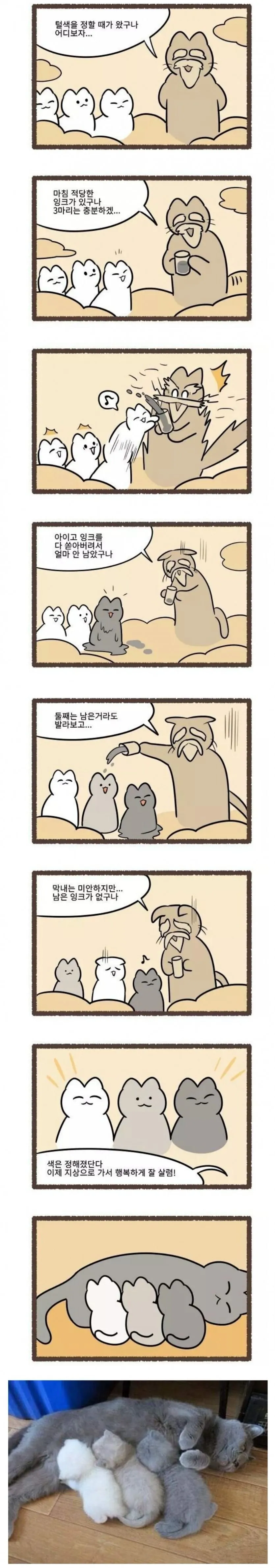 고양이 색깔의 비밀.manhwa