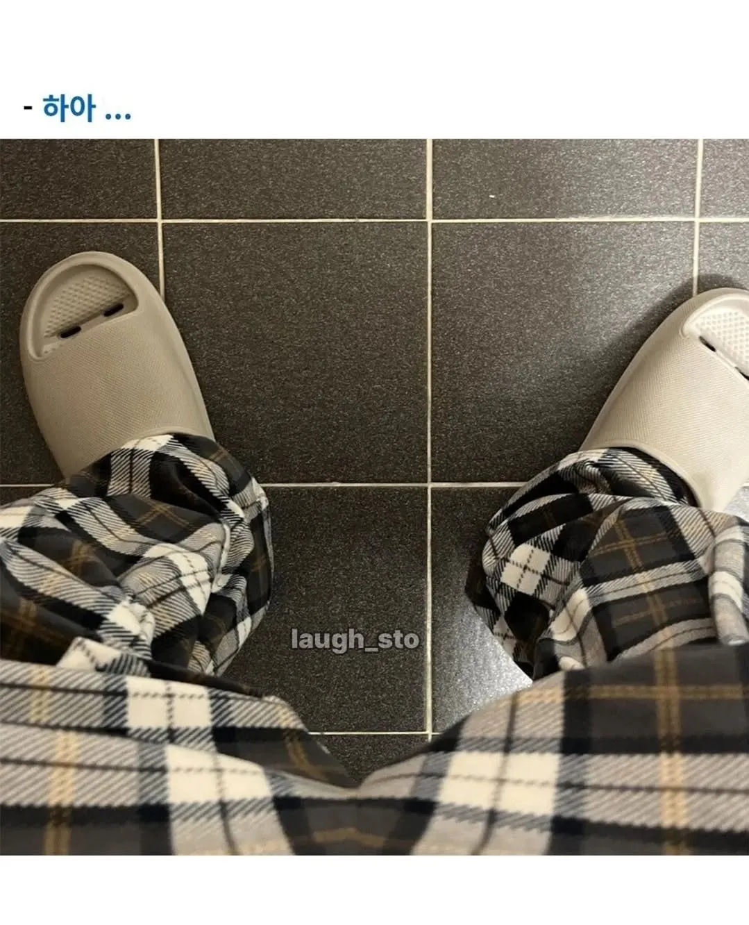 정체불명의 버섯을 먹어본 디시인.jpg