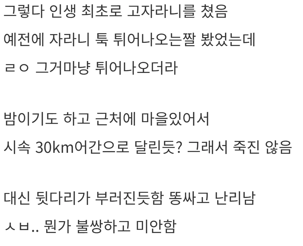 새해 초부터 고라니와 교통사고 난 디씨인.jpg