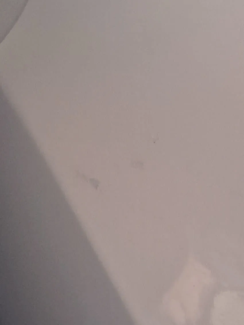 새해 초부터 고라니와 교통사고 난 디씨인.jpg