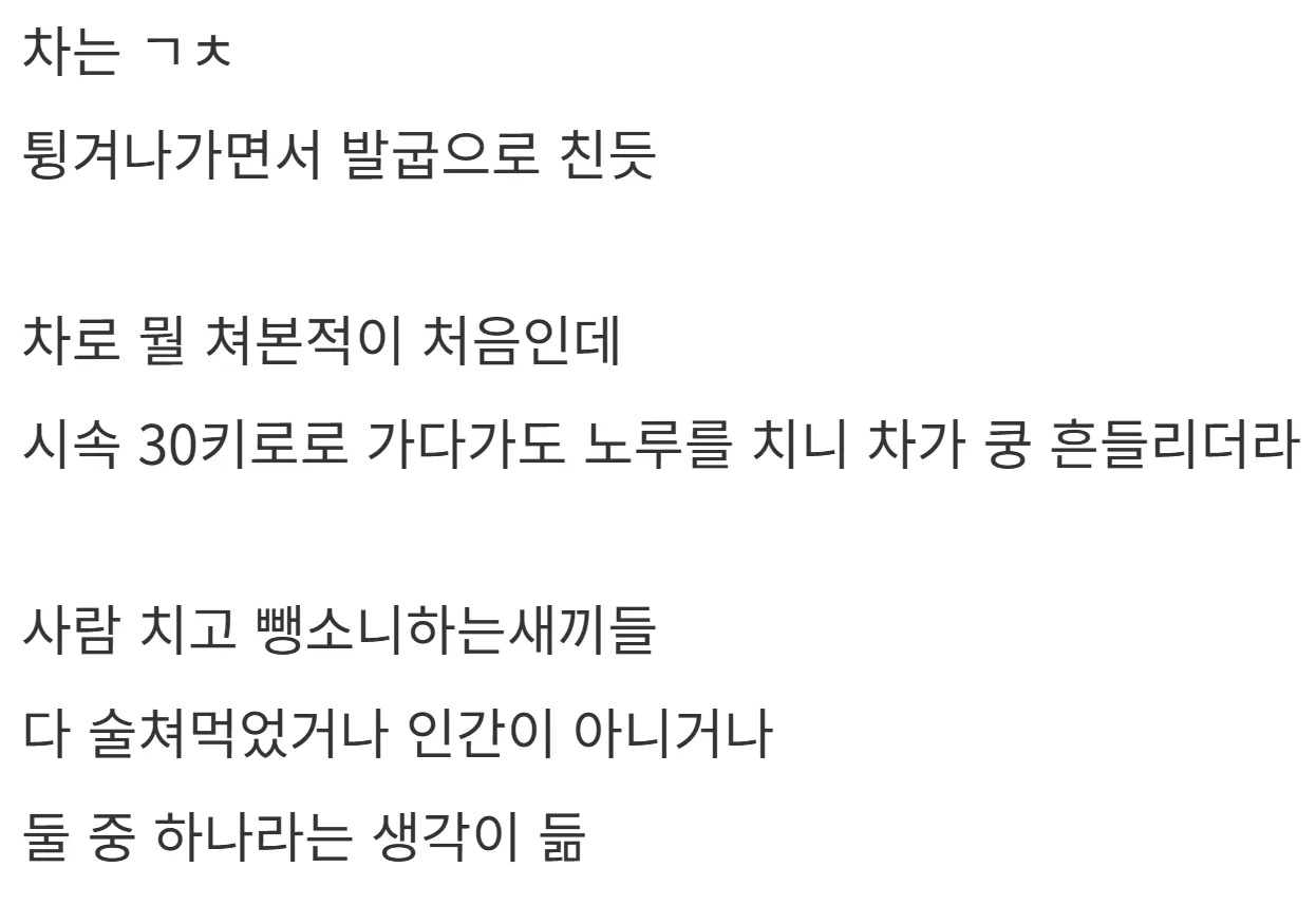 새해 초부터 고라니와 교통사고 난 디씨인.jpg