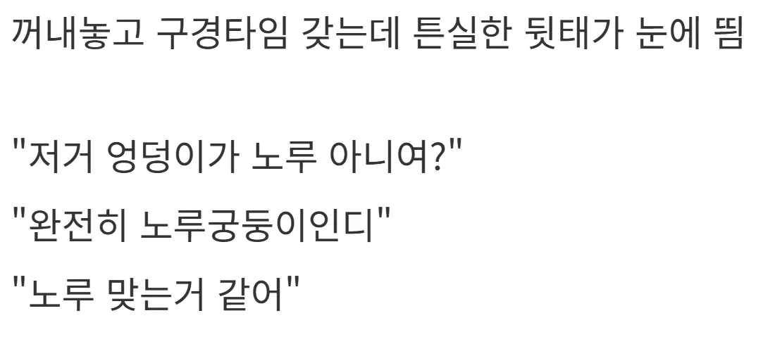 새해 초부터 고라니와 교통사고 난 디씨인.jpg