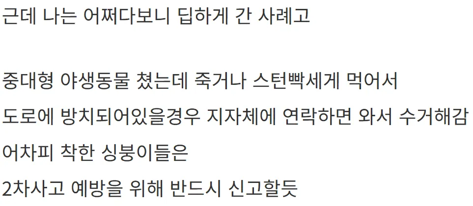 새해 초부터 고라니와 교통사고 난 디씨인.jpg