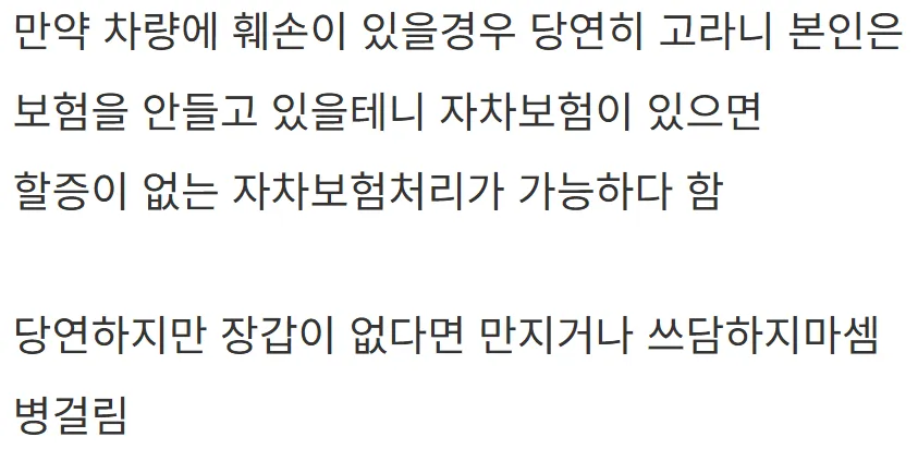 새해 초부터 고라니와 교통사고 난 디씨인.jpg