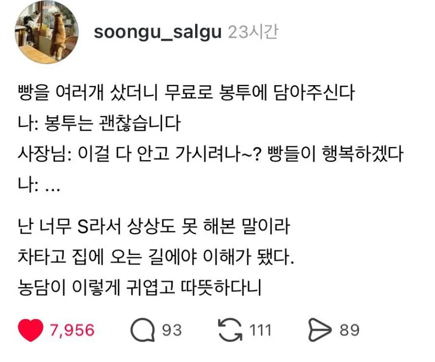 빵들이 행복하겠다.jpg