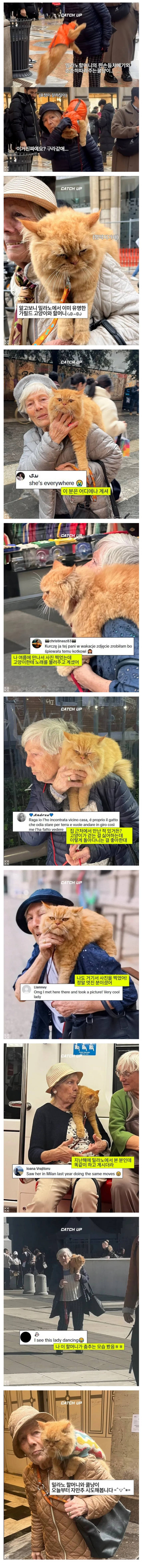 밀라노에서 유명한 할머니와 어깨냥이