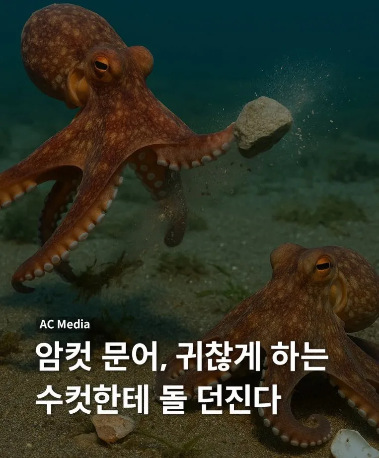 암컷 문어가 찝쩌대는 수컷을 대하는 방법