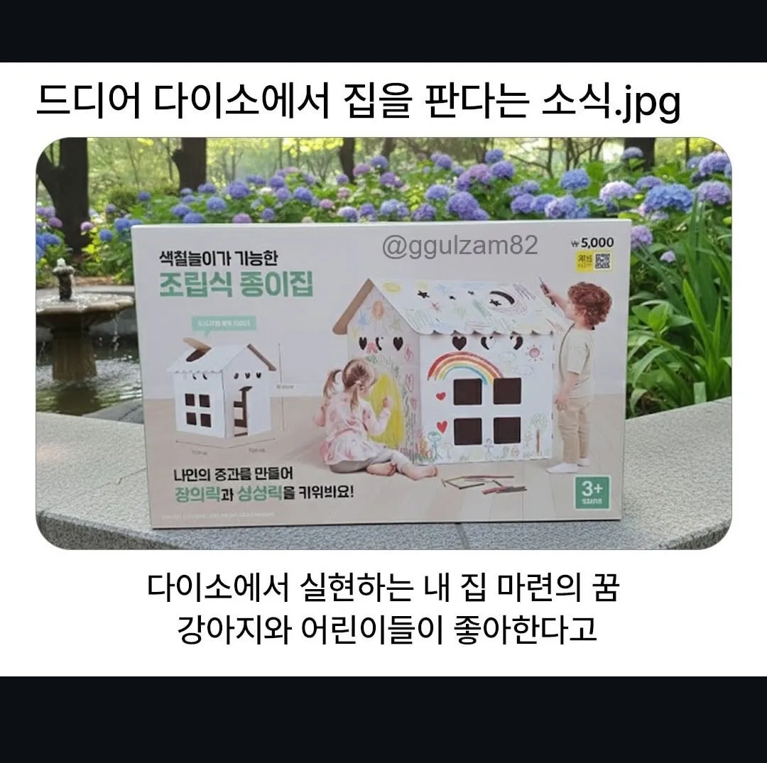드디이 다이소에서 집을 팜.jpg