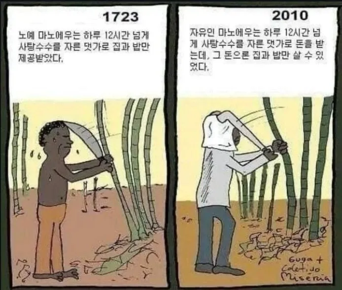 노예는  하루 12시간 넘게 일한 댓가로 집과 밥만 제공 받았다