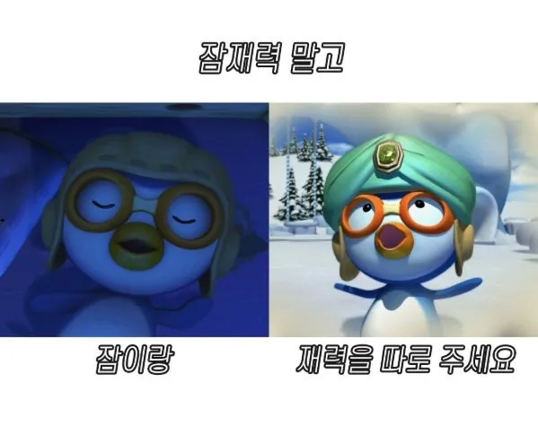 잠재력 말고