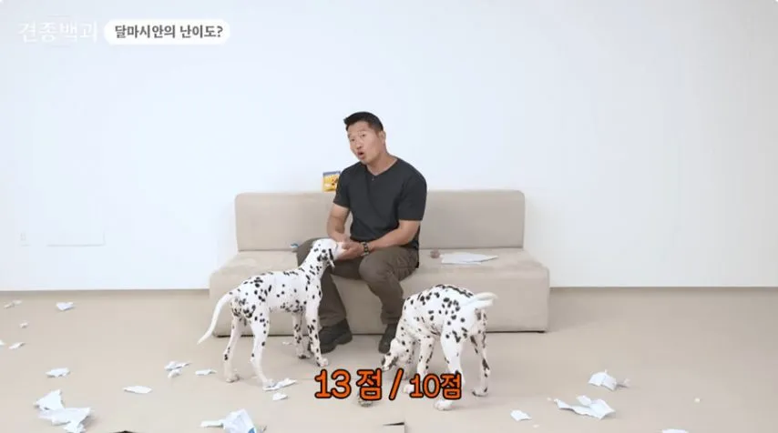 유튜브 개통령도 키우지 말라고 하는 개.jpg