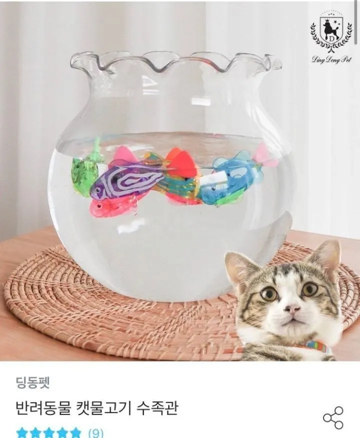 신뢰도 확실한 후기