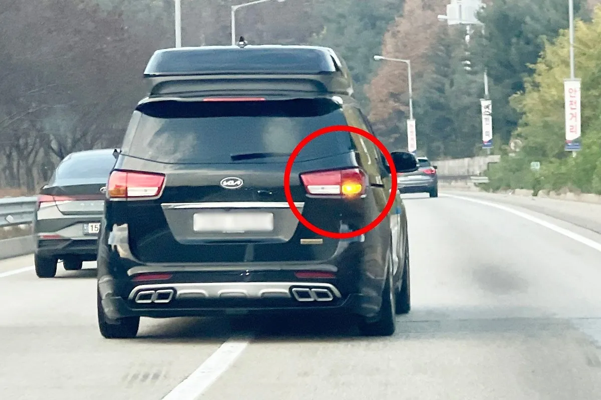 신고자 보복하고 싶다는 카니발 차주