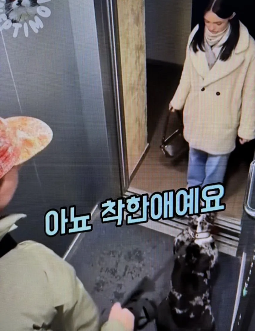 엘리베이터와 강아지
