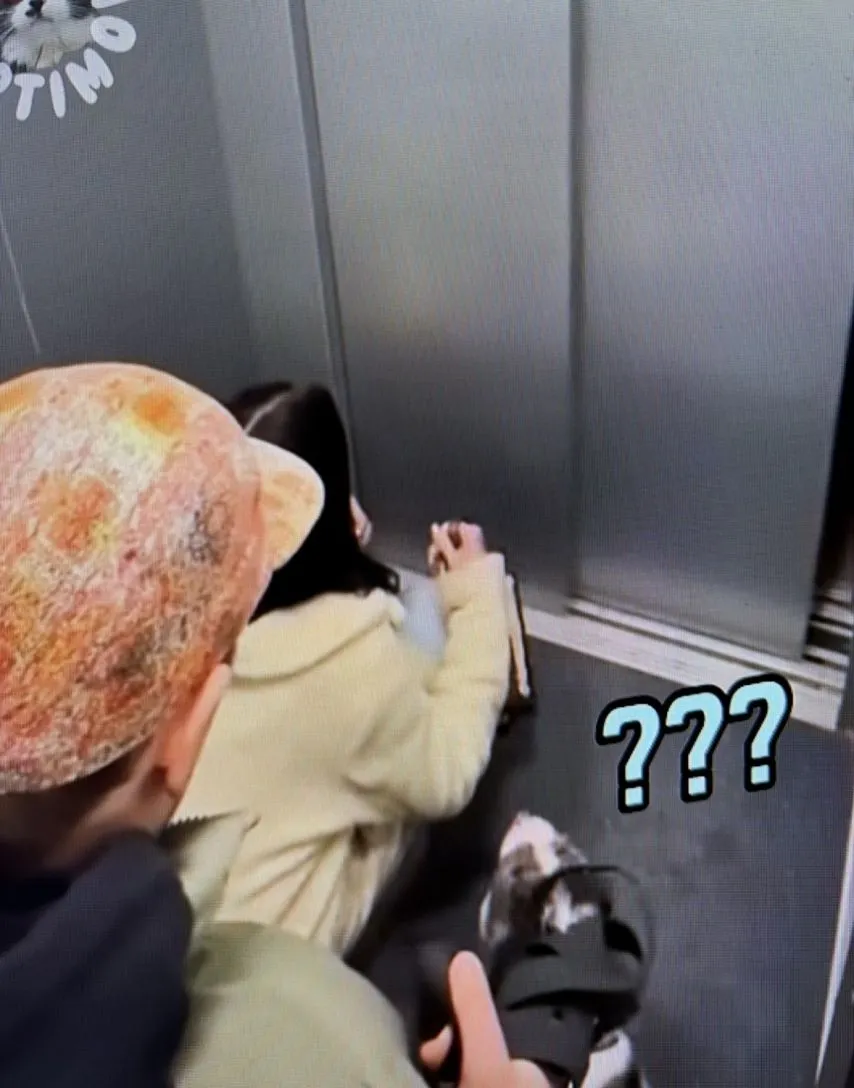 엘리베이터와 강아지