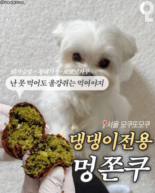 K 패치되고 있는 두쫀쿠