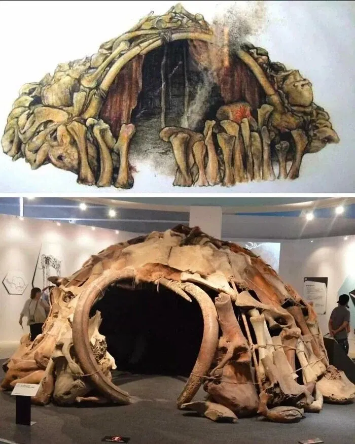 선사시대 인류의 집 재료.jpg
