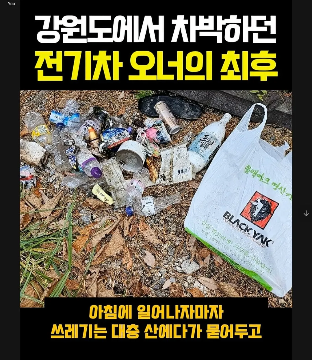 차박하는 지능수준