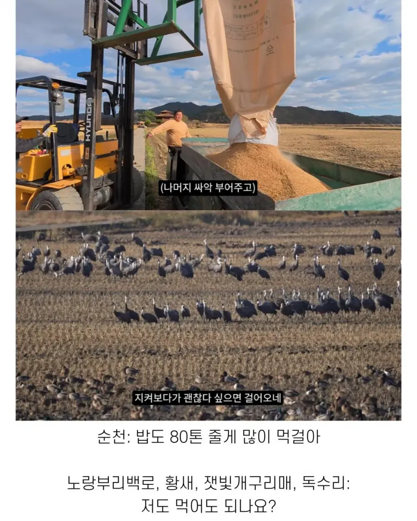 좋은 일 많이 해서 축복 받은 한국 도시