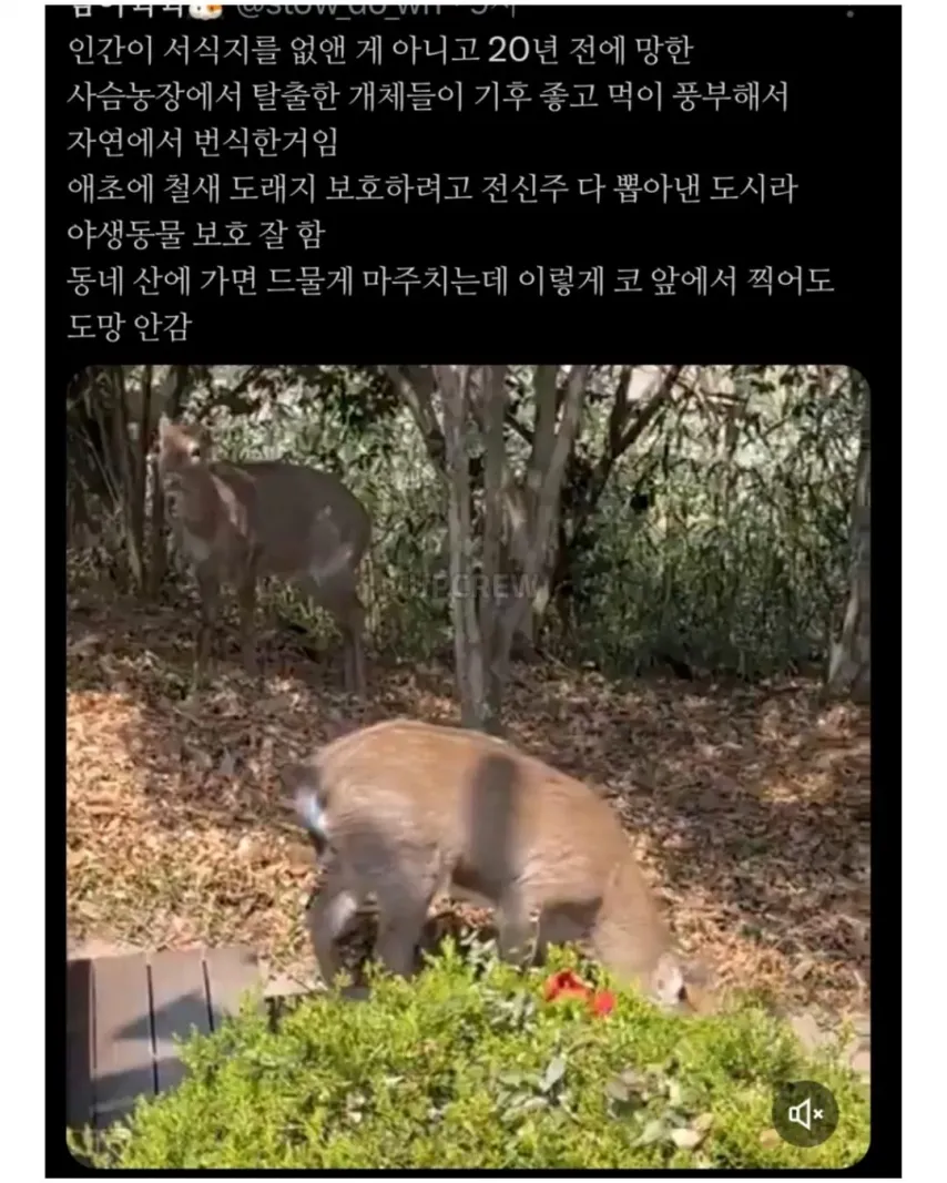 좋은 일 많이 해서 축복 받은 한국 도시