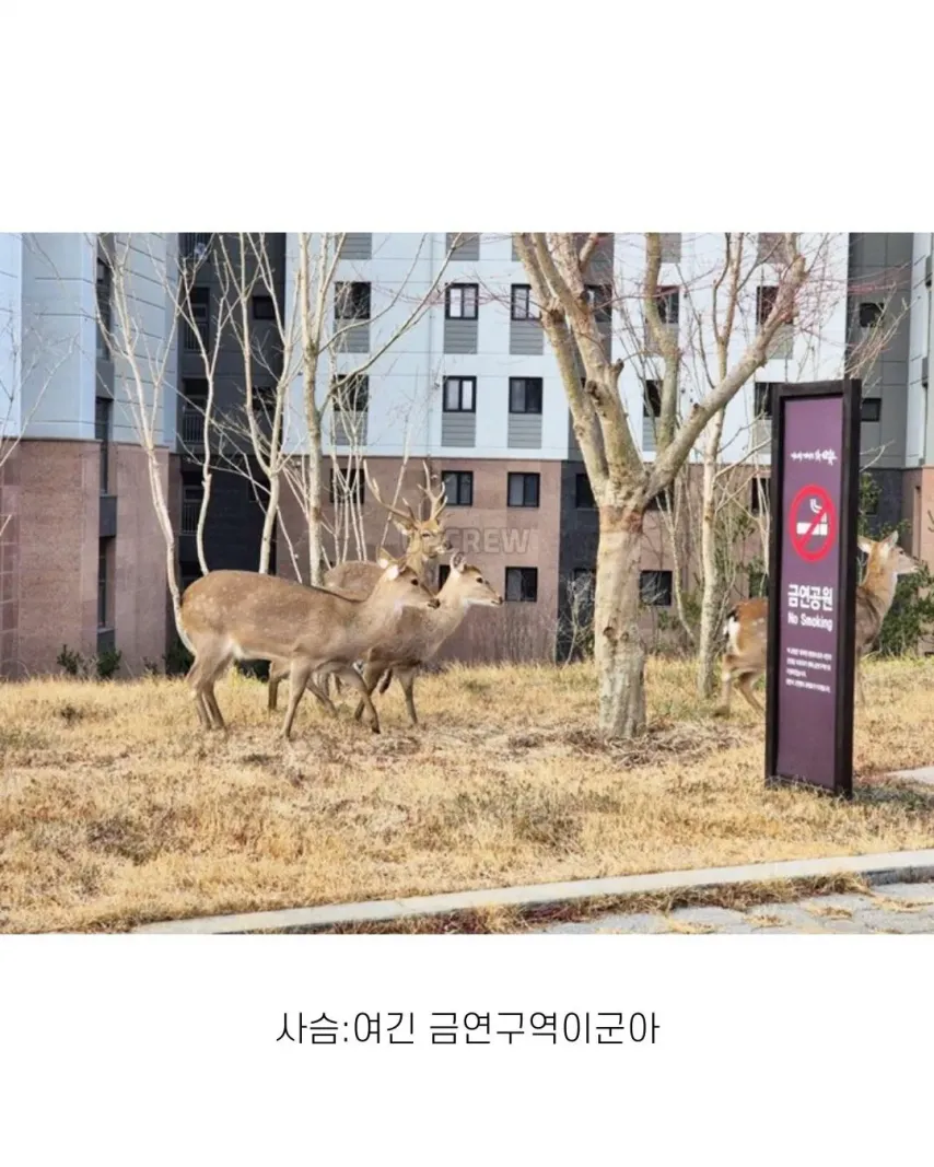 좋은 일 많이 해서 축복 받은 한국 도시