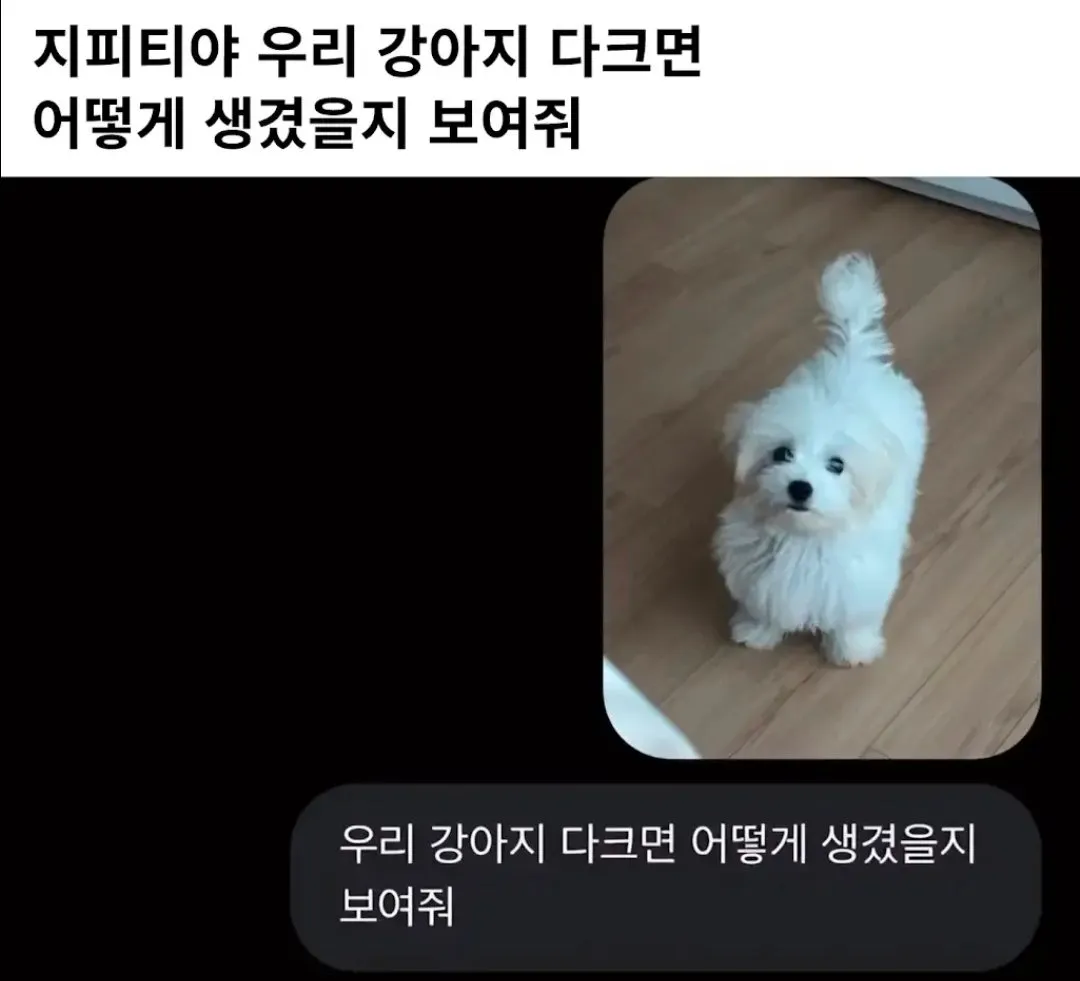 우리 강아지 다크면 어떻게 생겼을지 보여줘