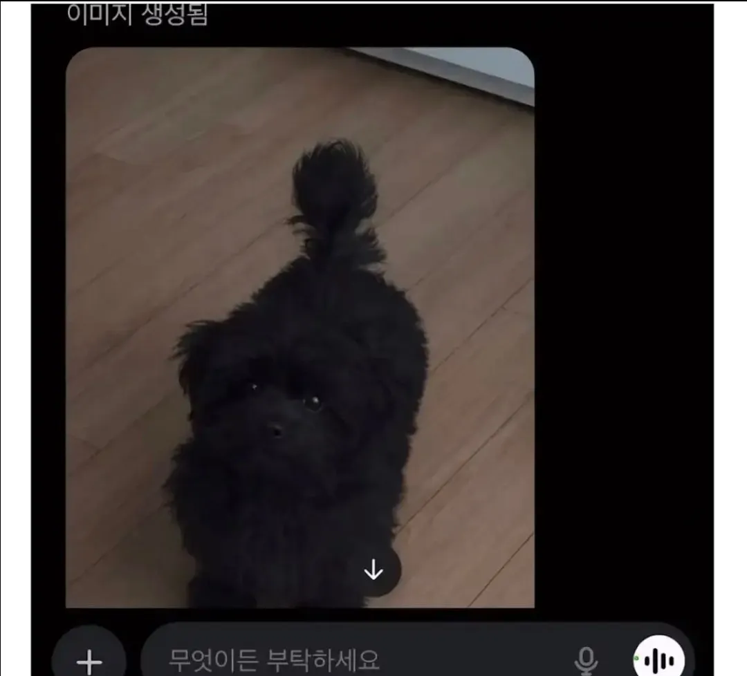 우리 강아지 다크면 어떻게 생겼을지 보여줘