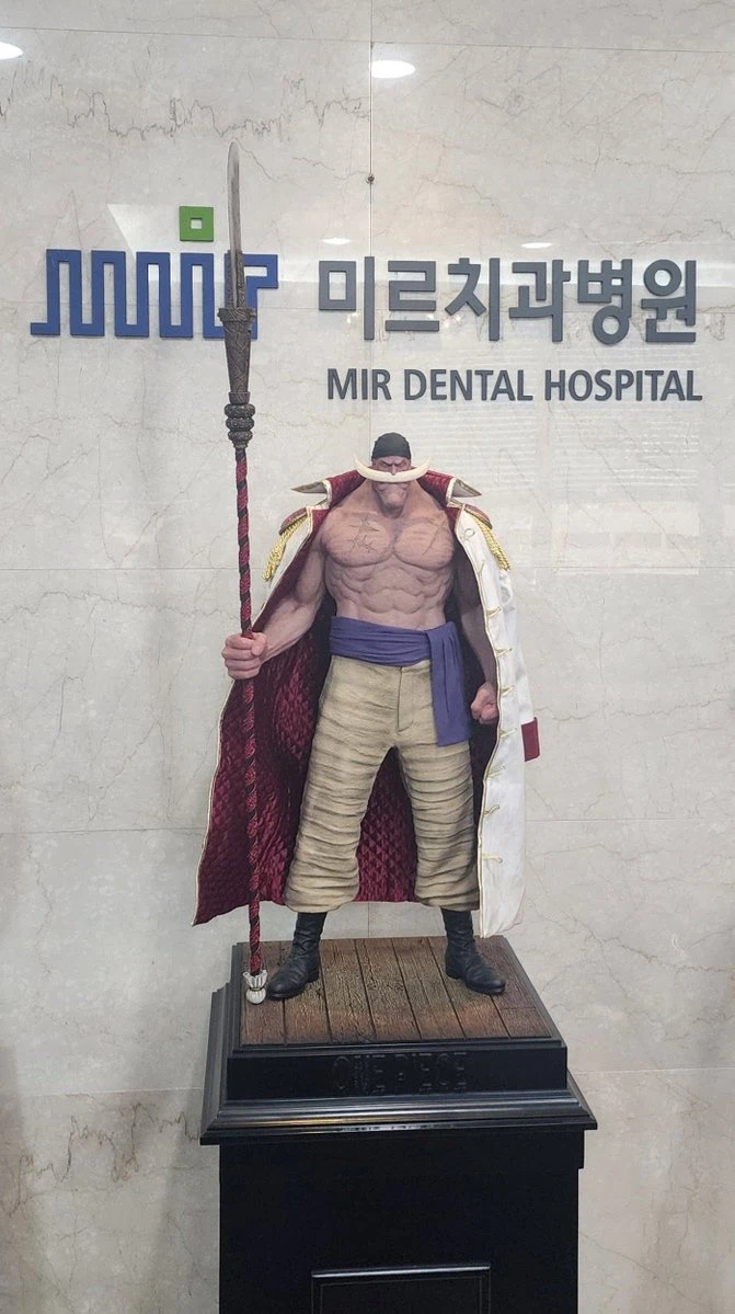 라멘집 원피스피규어, 그럴수있음