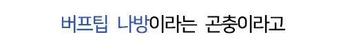 부러진 나무가지로 위장하는 벌레.mp4