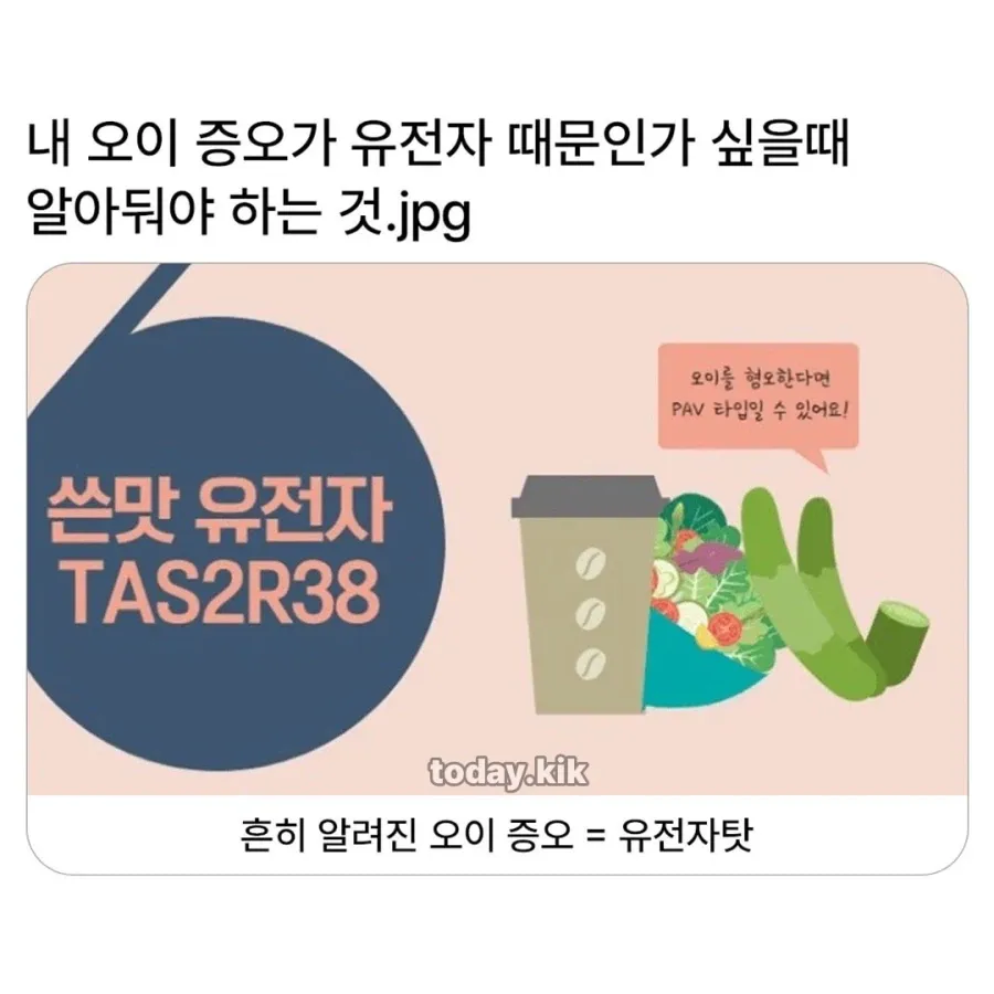 오이 편식의 진실.JPG