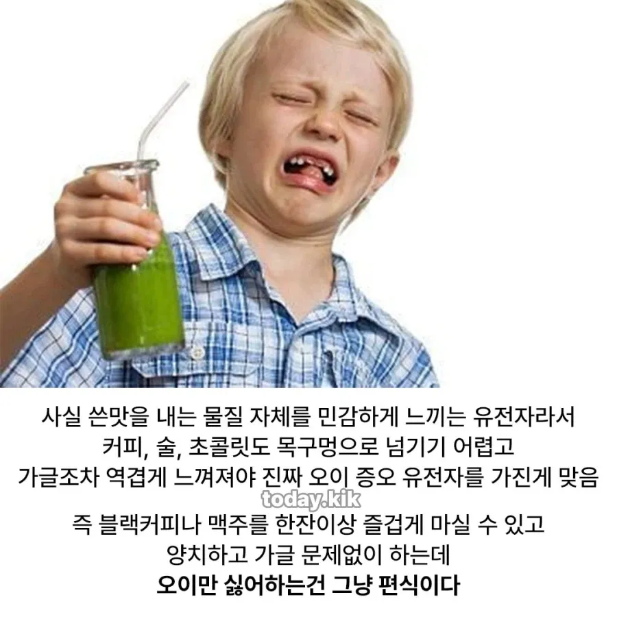 오이 편식의 진실.JPG