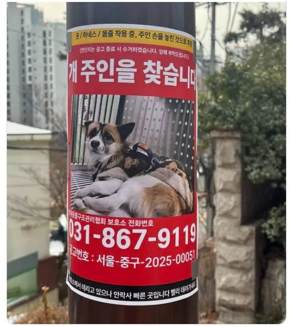 정말 안타까운 주인을 찾습니다