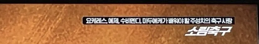 OCN 이새끼들이 진짜 골때리는거 같음 ㅋㅋㅋㅋ