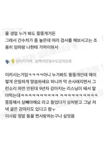 우리 강아지 비만이라고 속삭인 수의사쌤