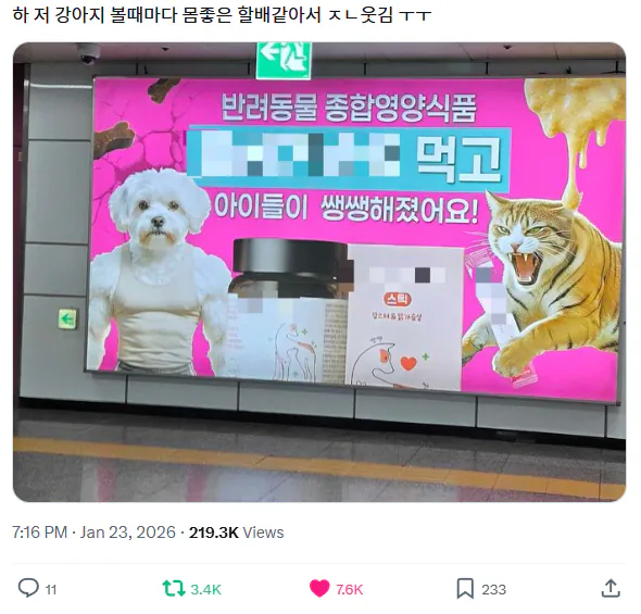 ???: 늙었다는 것은 살아 남았다는 것, 살아 남았다는 것은
