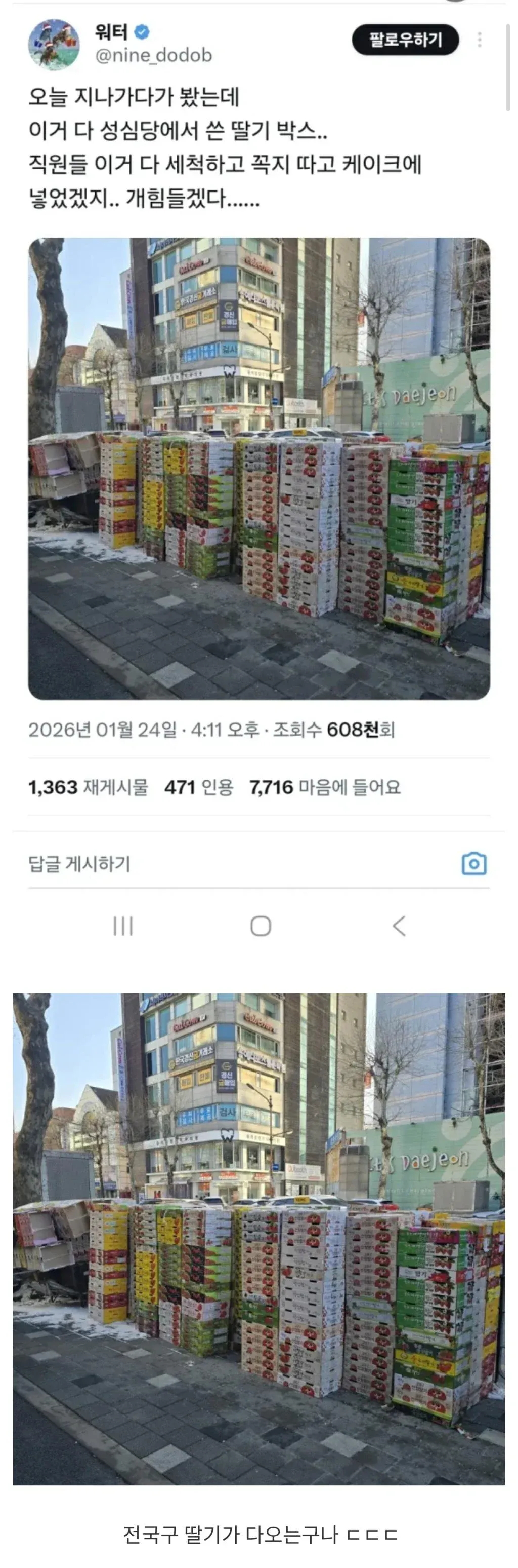 성심당 딸기 하루 사용량