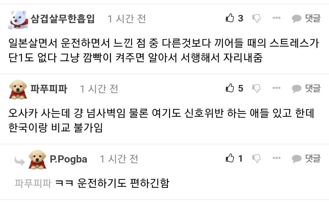 갓본 운전 문화