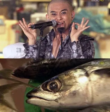 그시절 찐광기의 아이돌 라이브 무대 레전드 top5...jpg