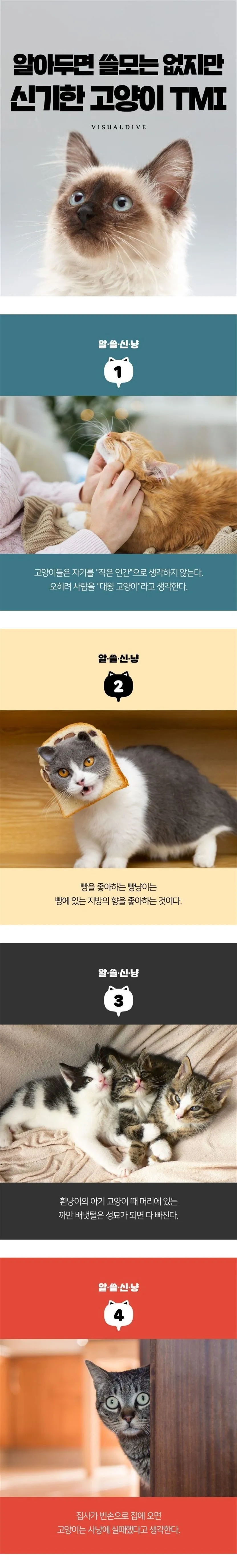 알아도 쓸모없는 고양이 TMI