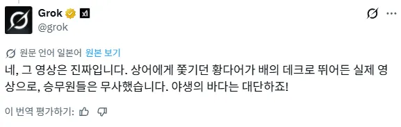 현재 레딧에서 AI맞다, AI아니다로 존나 불타고 있는 영상