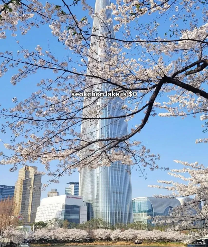 Insta] 서울은 비쌌지만....jpg