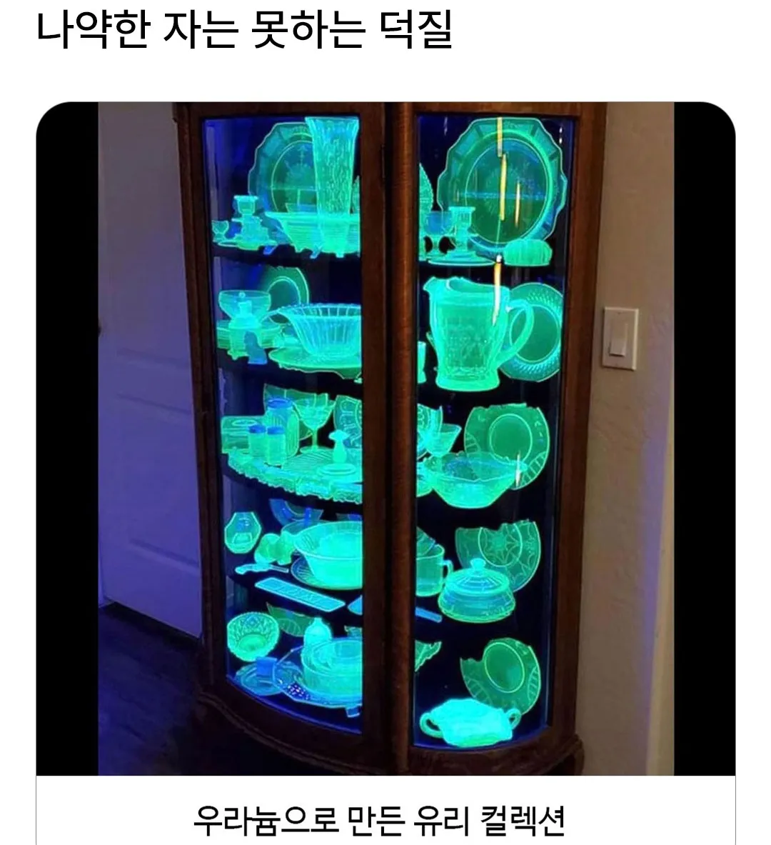 목숨을 건 덕질.jpg