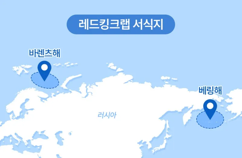 킹크랩을 양식하지 못하는 이유