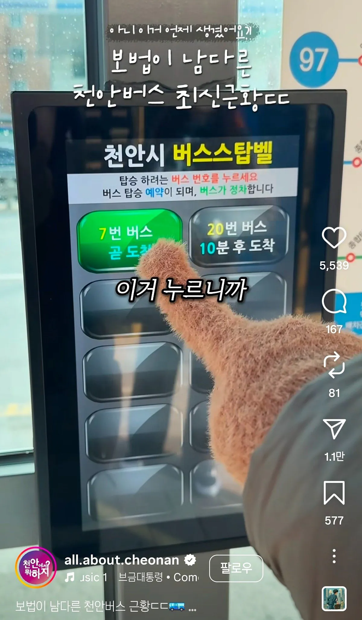 보법이 다른 천안버스 근황