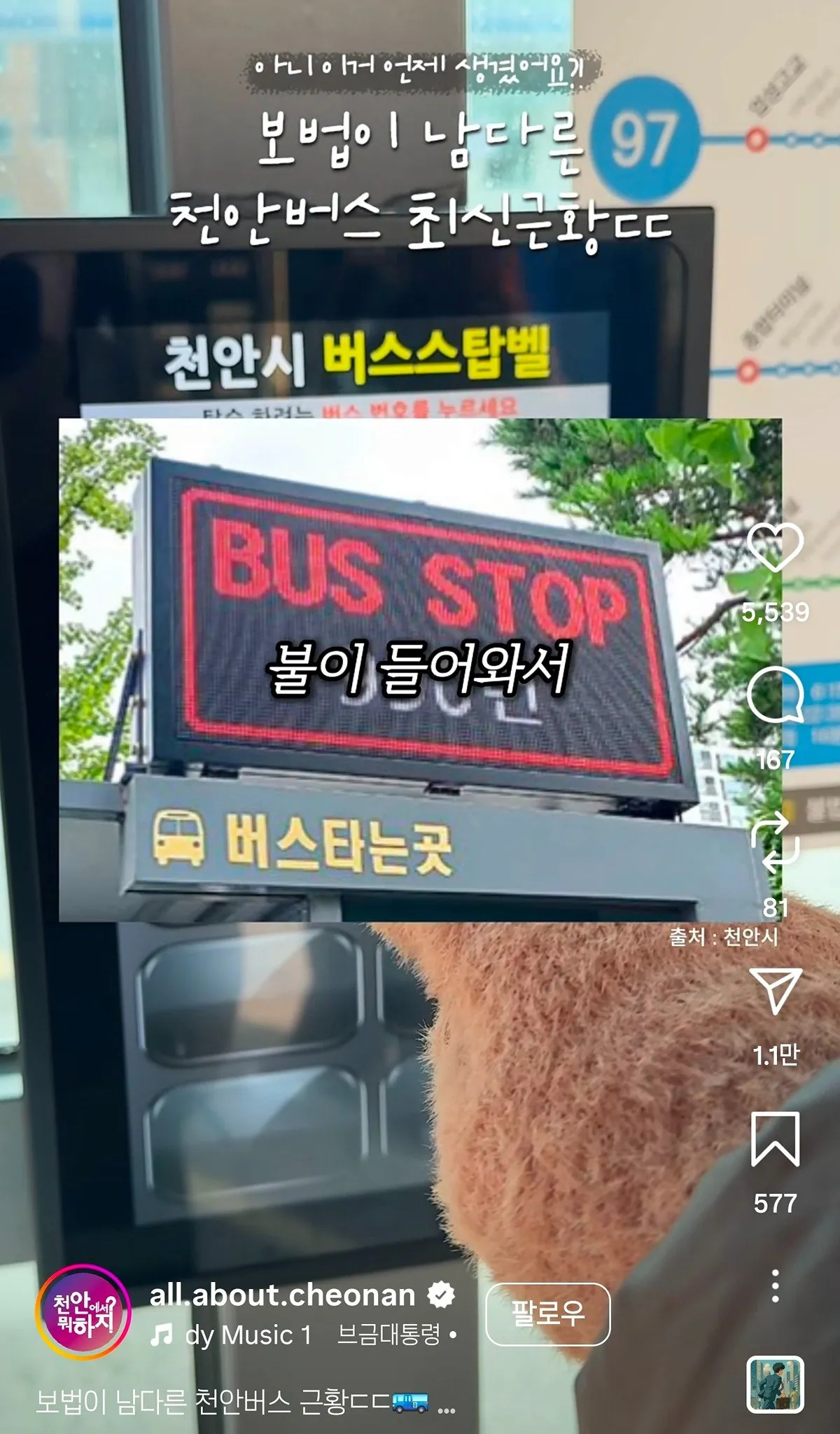 보법이 다른 천안버스 근황