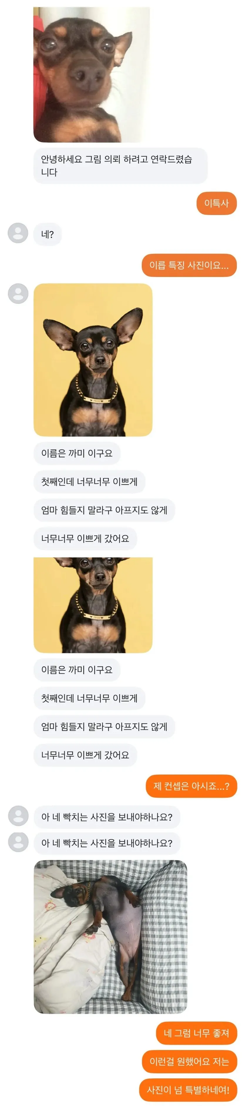 당근에서 무료로 댕댕이 그림 그려주는 사람