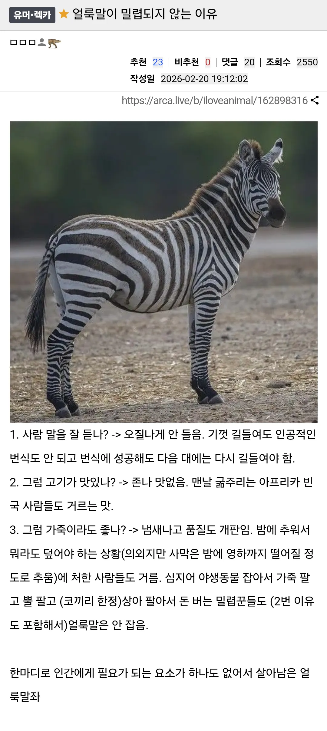 얼룩말이 밀렵되지 않는 이유