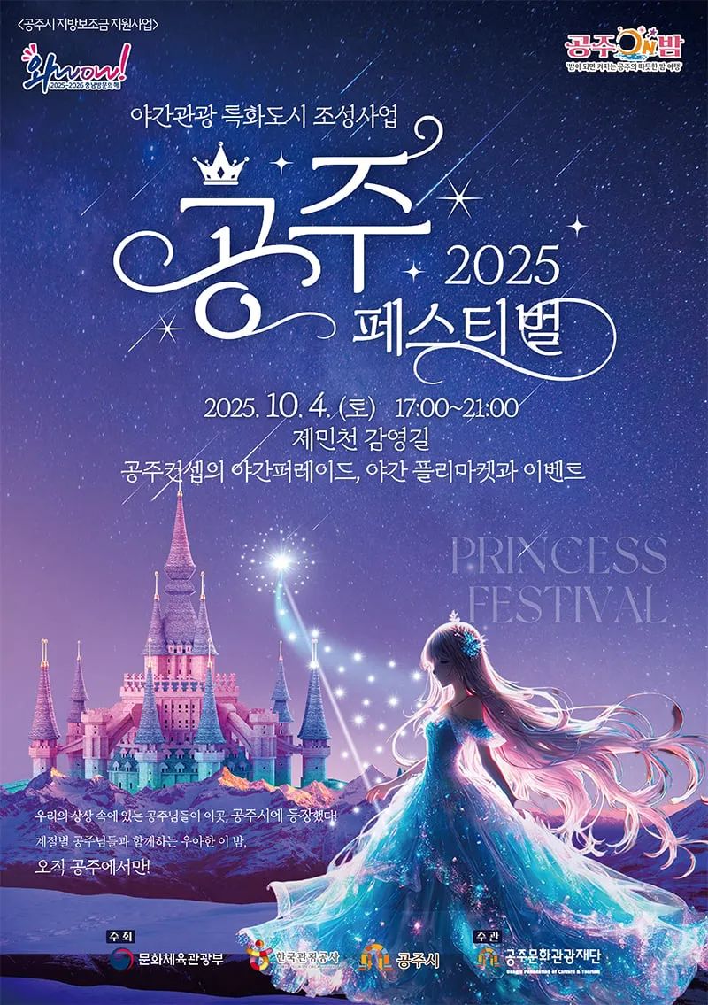 대한민국 무근본 축제들에 대한 공주시의 대답.jpg